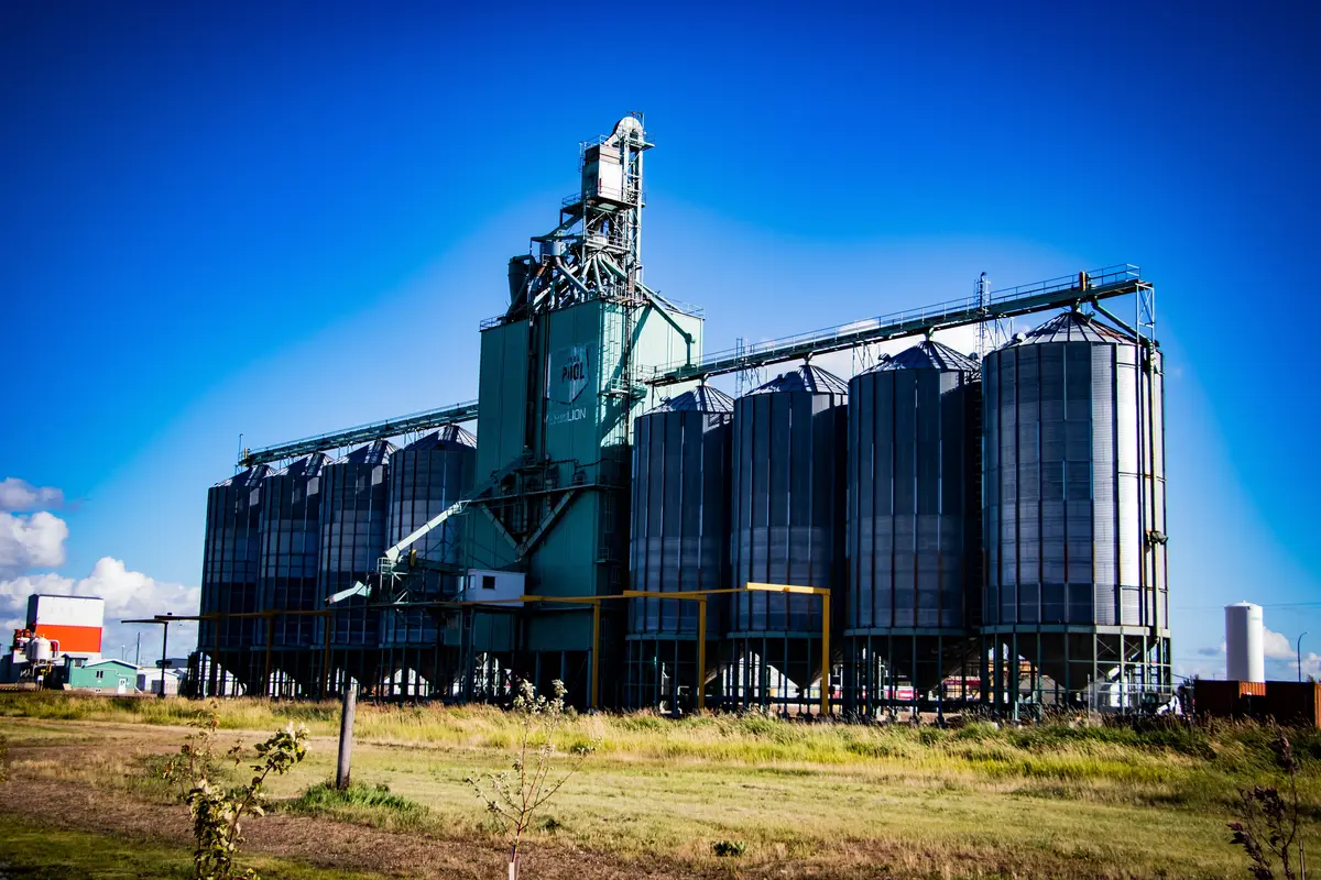Identyfikowalność produkcji mąki – elewatory