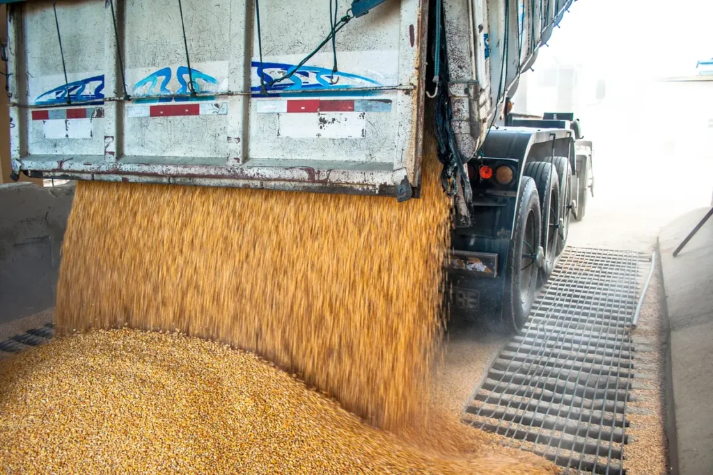 traceability w branży młynarskiej – dostawy